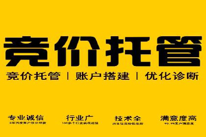 竞价广告投放技巧：如何提高转化率——案例分析